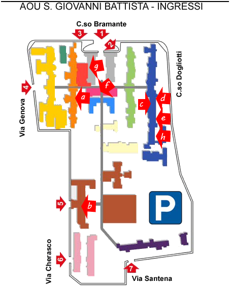 mappa molinette